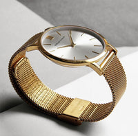 Watch - GOLD AND SILVER STREAK + LEATHER STRAP